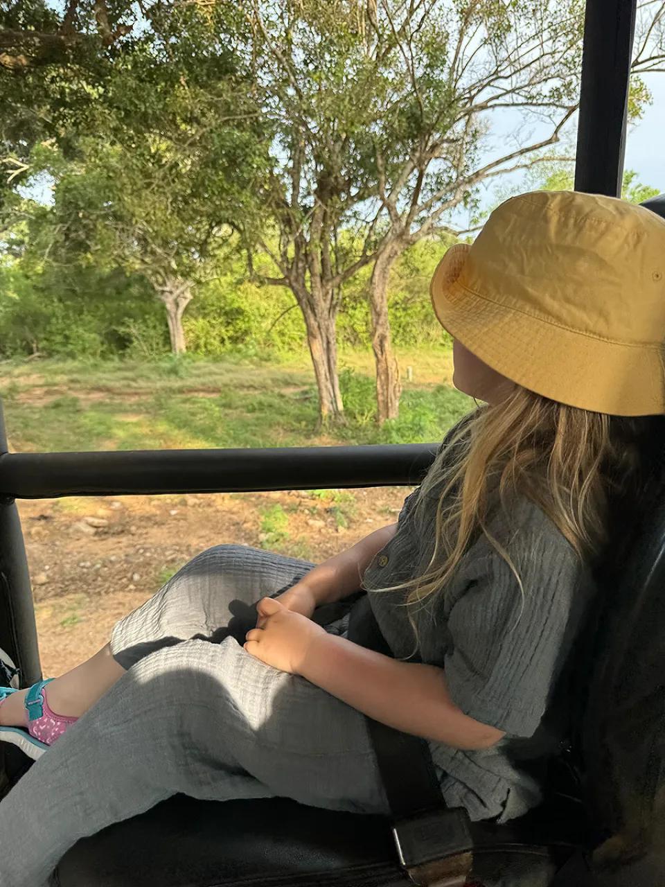 Safari in Yala or Wilpattu — Safari In Yala Or Wilpattu View 2