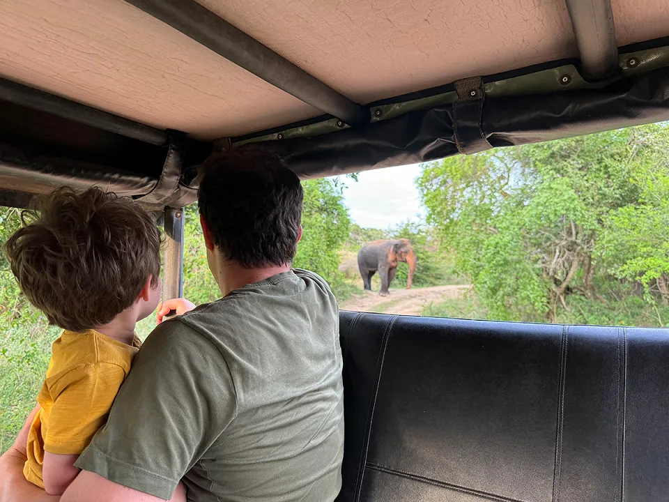 Safari in Yala or Wilpattu — Safari In Yala Or Wilpattu View 4