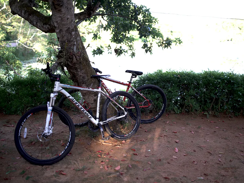 Kayaking in Gal Oya or Weligama Lagoon — Cycling In Anuradhapura Or Weligama