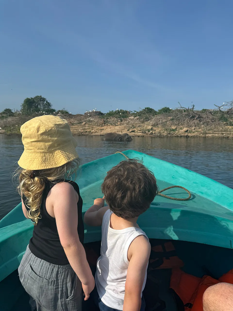 Surf Lessons in the South Coast — Kayaking In Gal Oya Or Weligama Lagoon View 2
