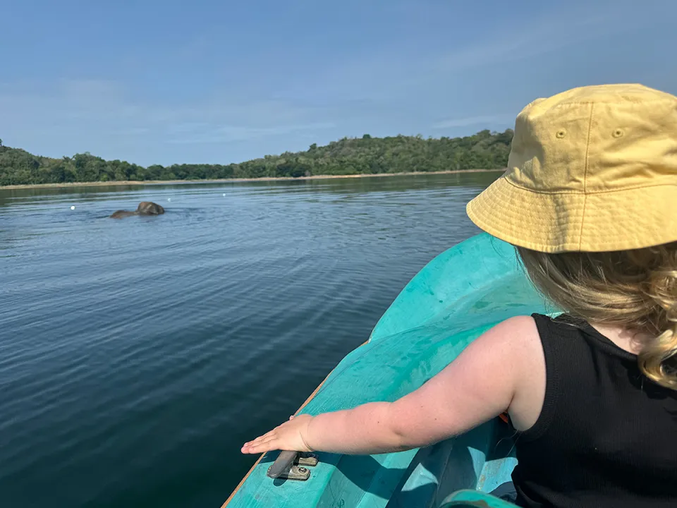 Surf Lessons in the South Coast — Kayaking In Gal Oya Or Weligama Lagoon View 3
