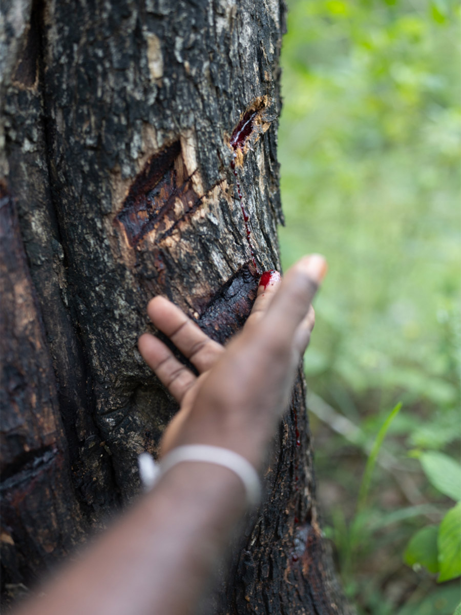 Exciting experience for travelers and explorers gallery image