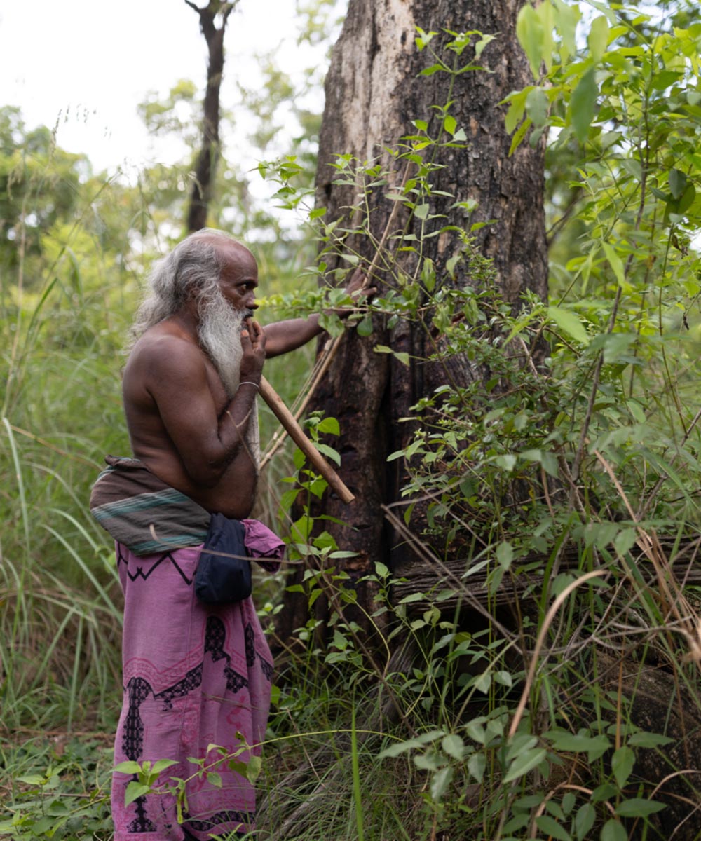 Exciting experience for travelers and explorers gallery image
