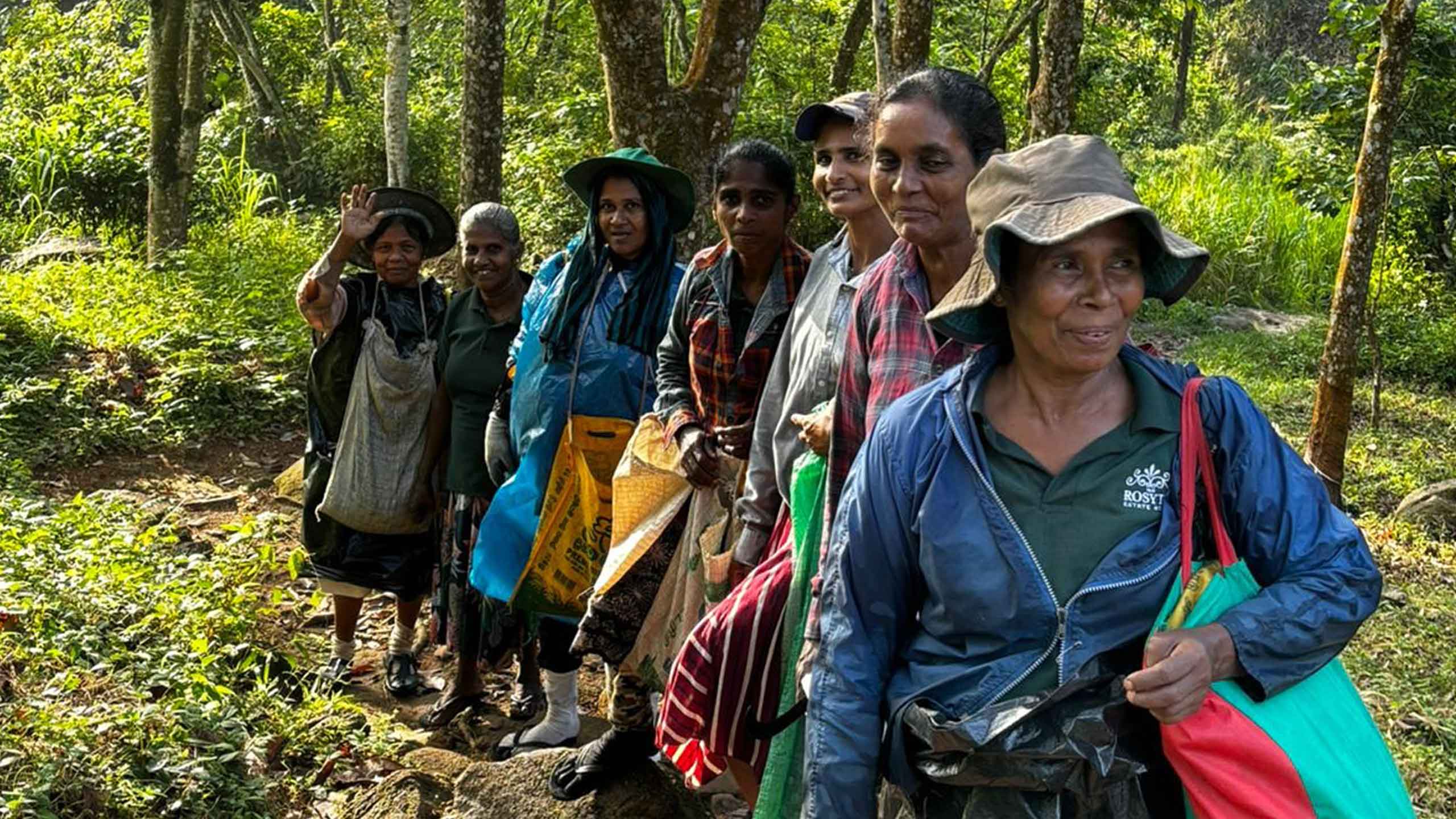 Spotlight on Rosyth Estate House: Where Sustainability Meets Soul