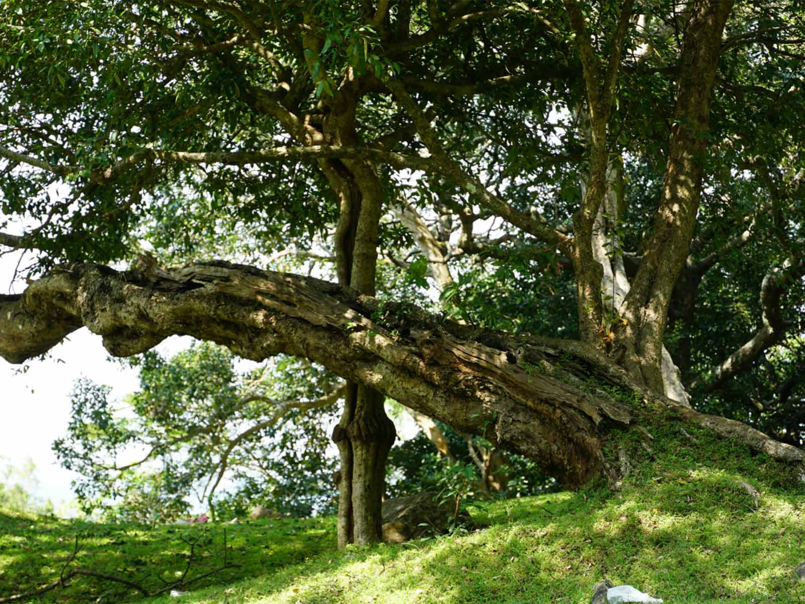 Exciting experience for travelers and explorers gallery image