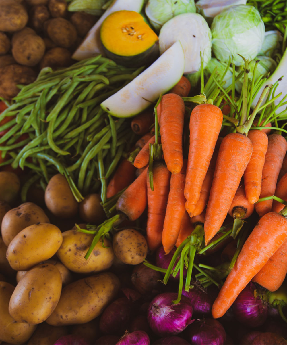 Exciting experience for travelers and explorers gallery image