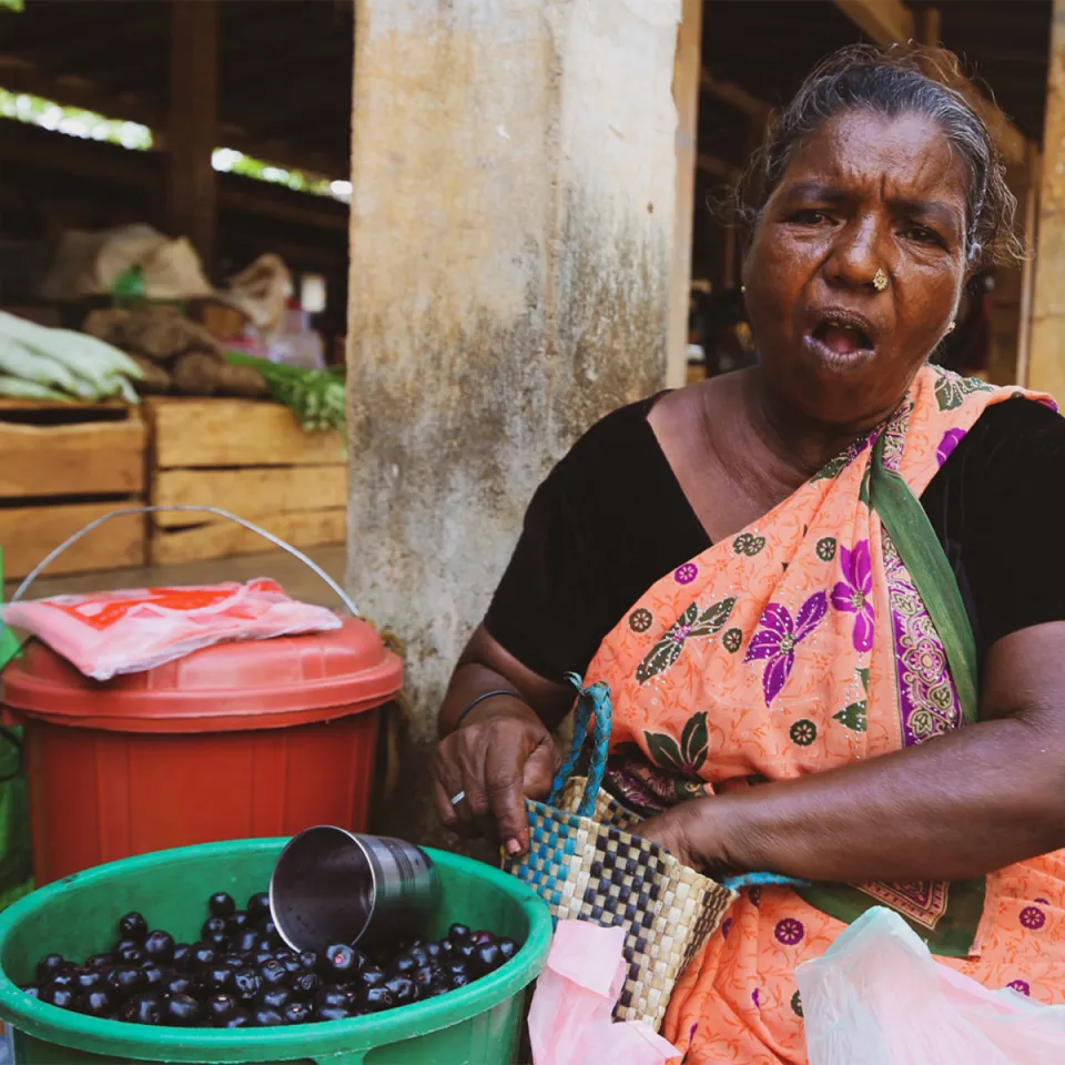 Jaffna by Tuk Tuk — gallery photograph 3