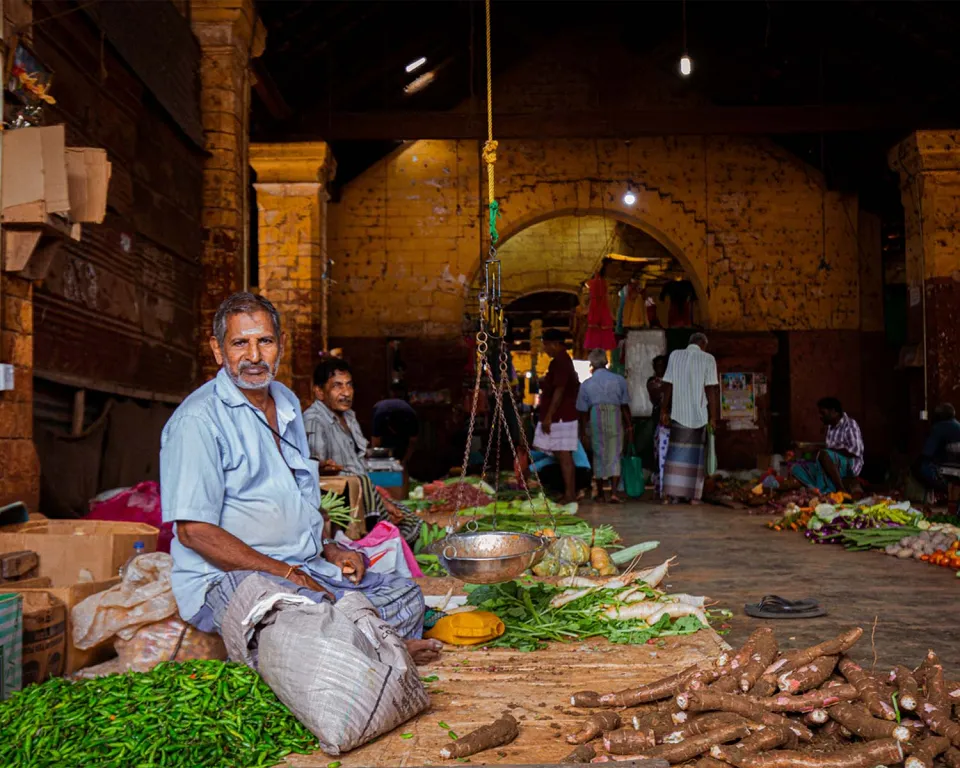 Jaffna by Tuk Tuk — gallery photograph 4