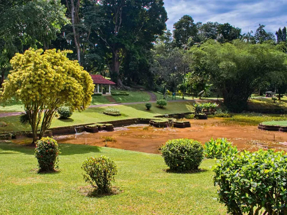 Explore with your guide one of Asia's most revered botanical gardens, with an extensive collection of plants, trees and orchids. i…