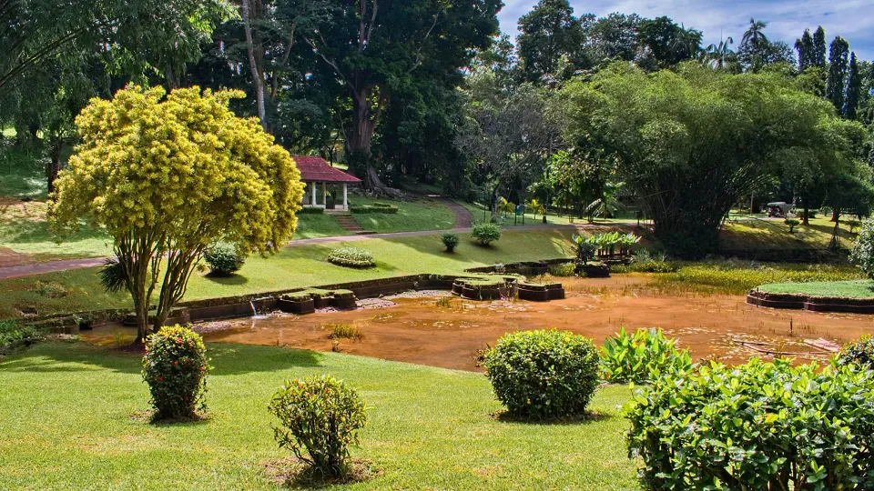 Kandy Botanical Gardens — experience photograph
