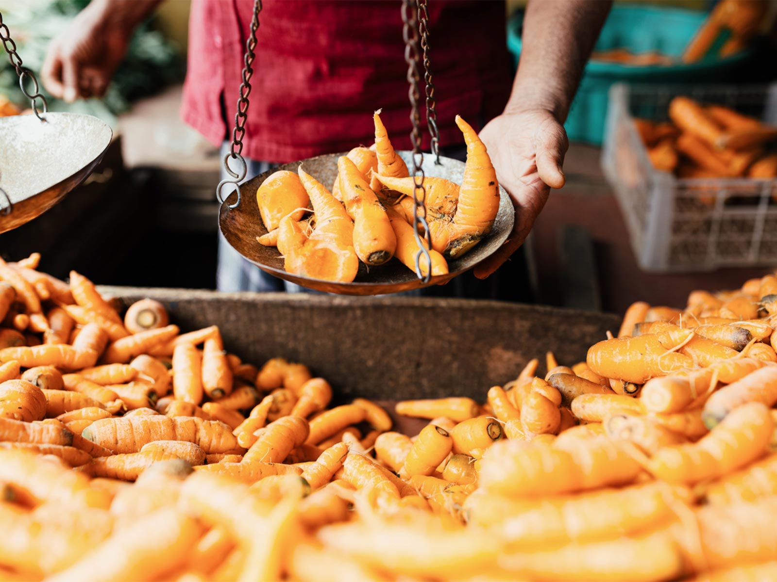 Exciting experience for travelers and explorers gallery image