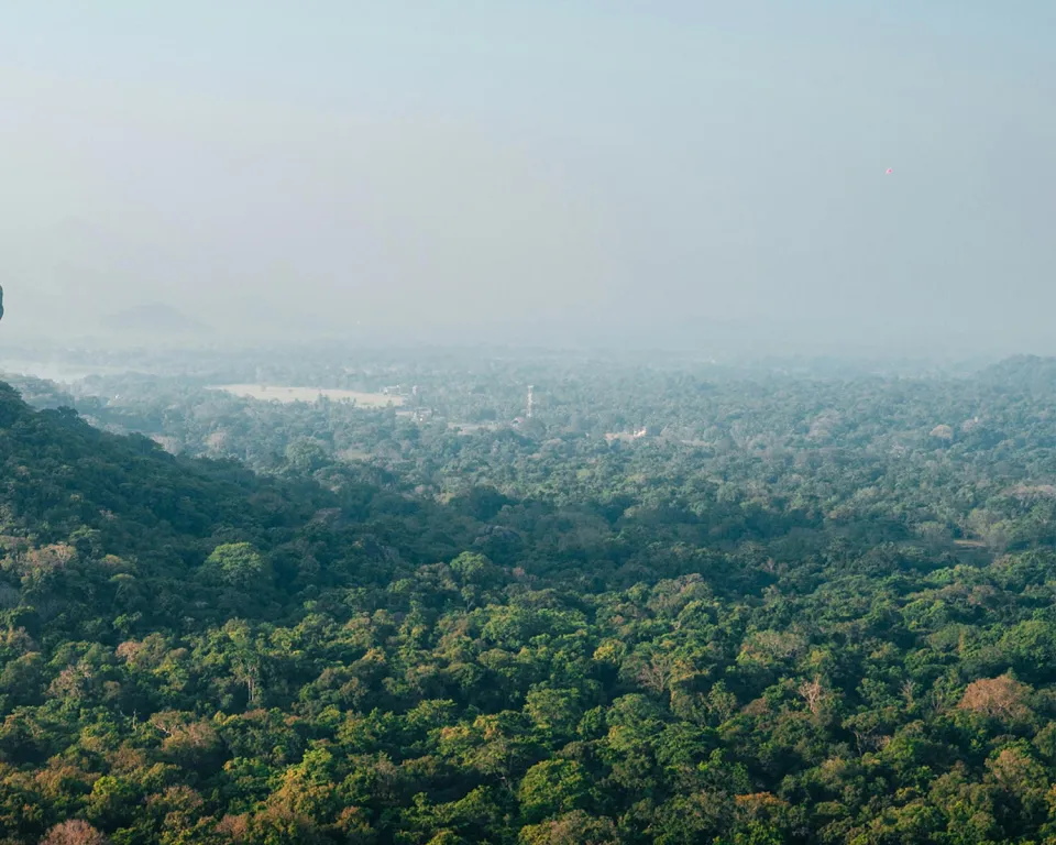 Pidurangala — gallery photograph 4
