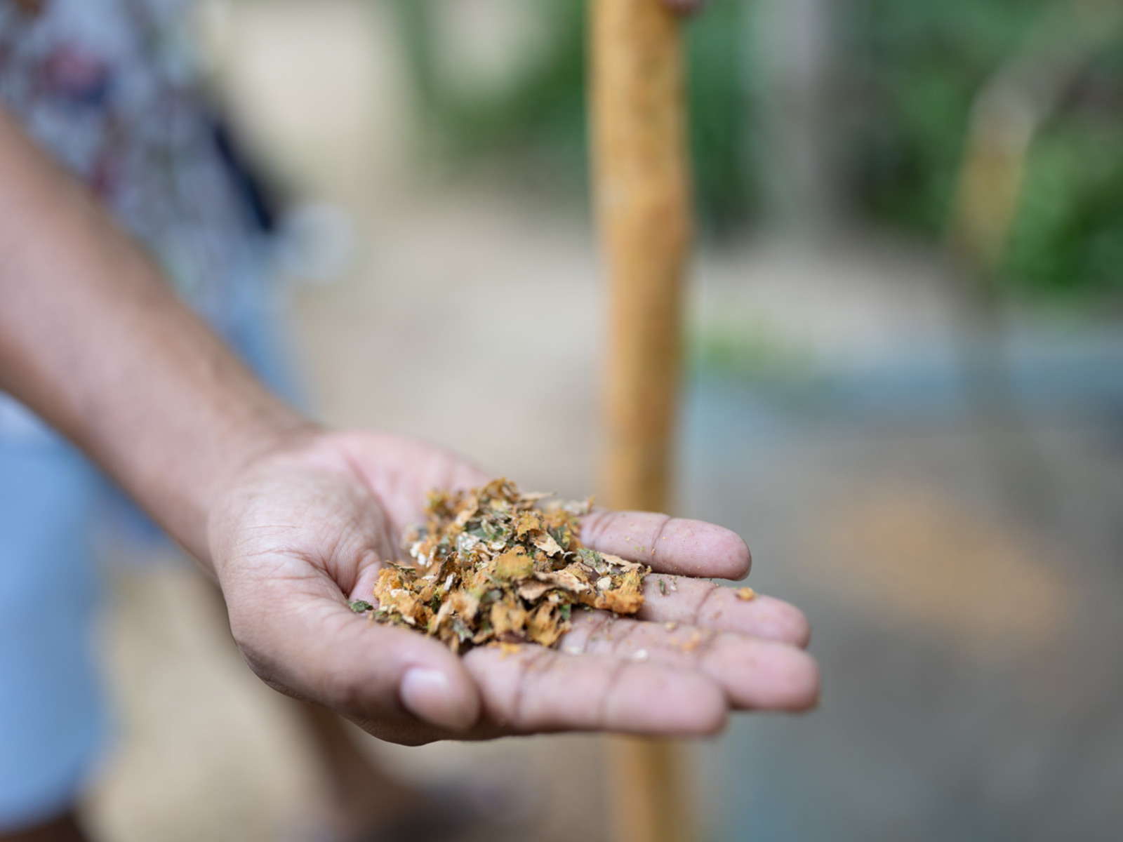 Exciting experience for travelers and explorers gallery image