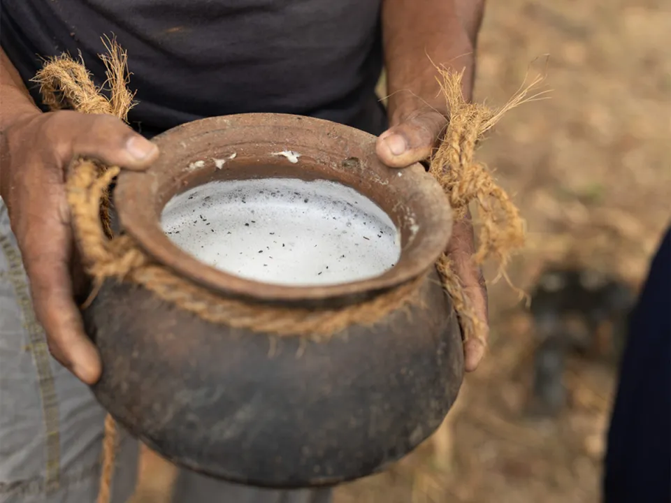 Today you'll enjoy a unique village experience, learning about very typical southern cultivation of both toddy and cinnamon. in Sr…