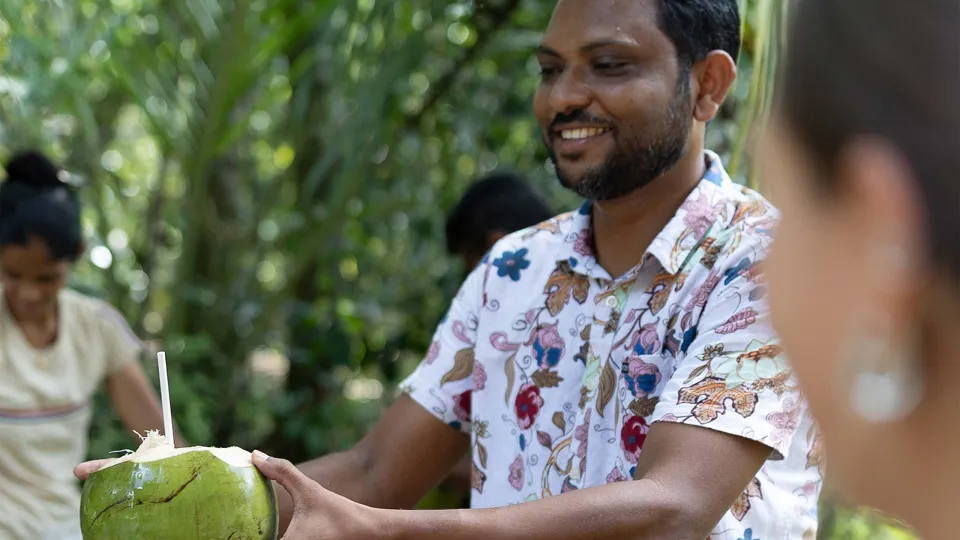Scent of Toddy — experience photograph