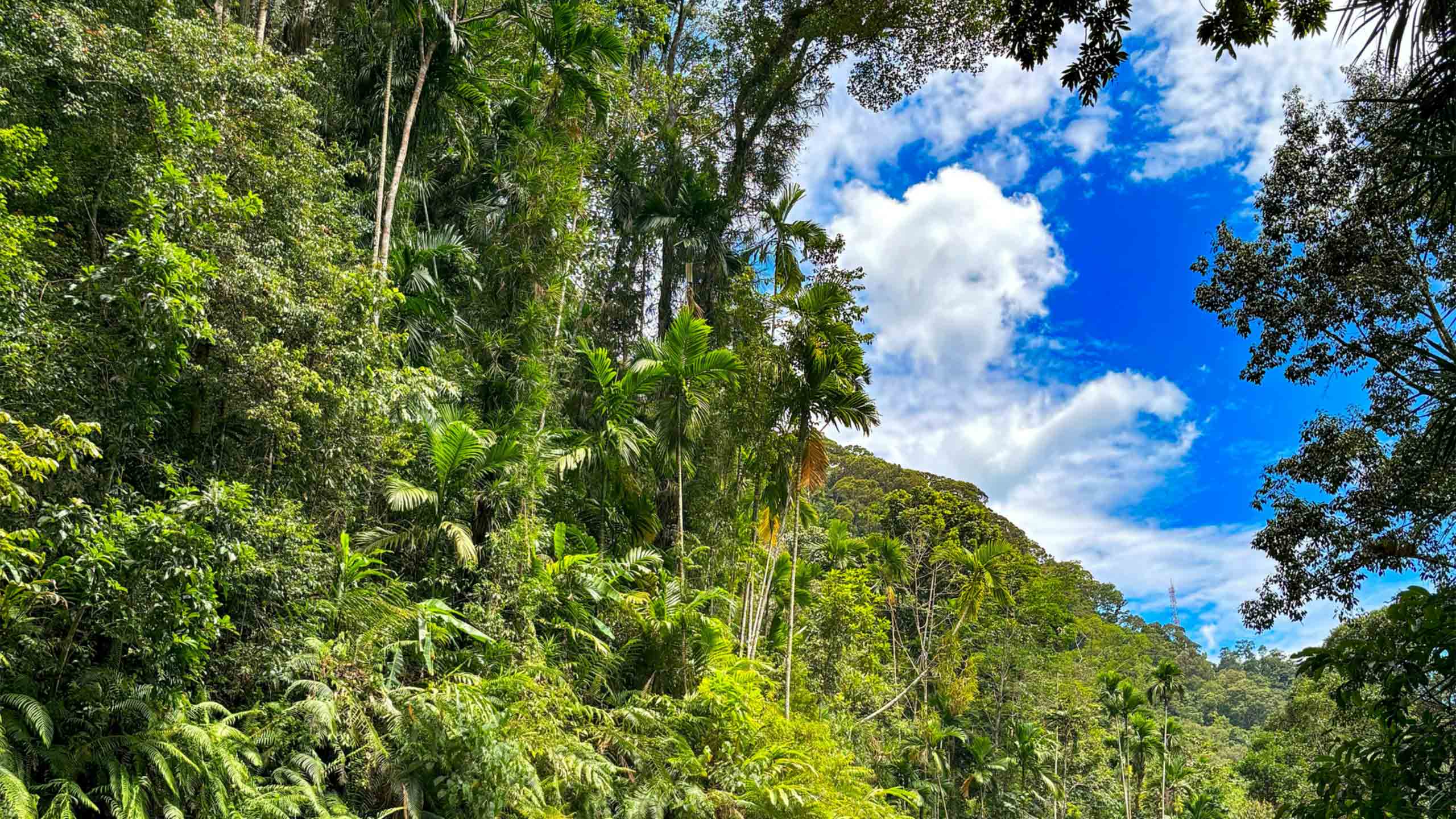 Unforgettable adventure showcasing local culture and breathtaking landscapes