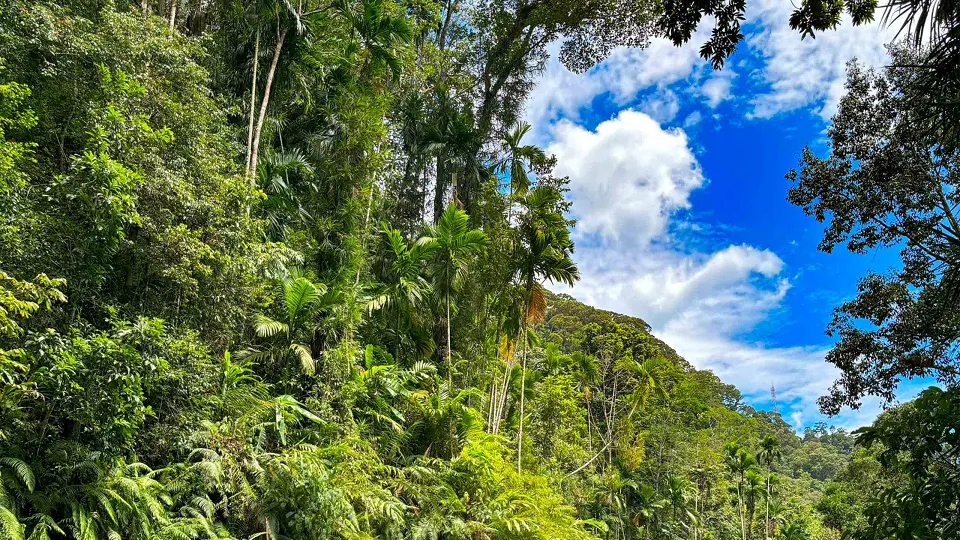 Unforgettable adventure showcasing local culture and breathtaking landscapes
