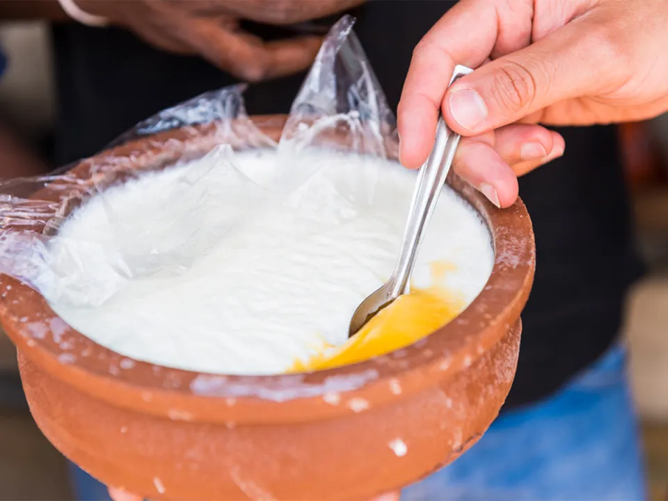 Learn traditional buffalo curd-making during this 2-hour morning experience that normally begins around 8am with a family whose ge…