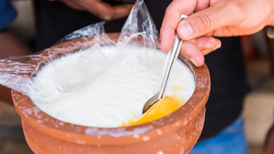 Curd Making — experience photograph