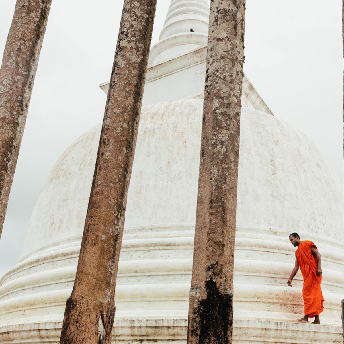 Anuradhapura with a private guide - Memorable travel experience photo