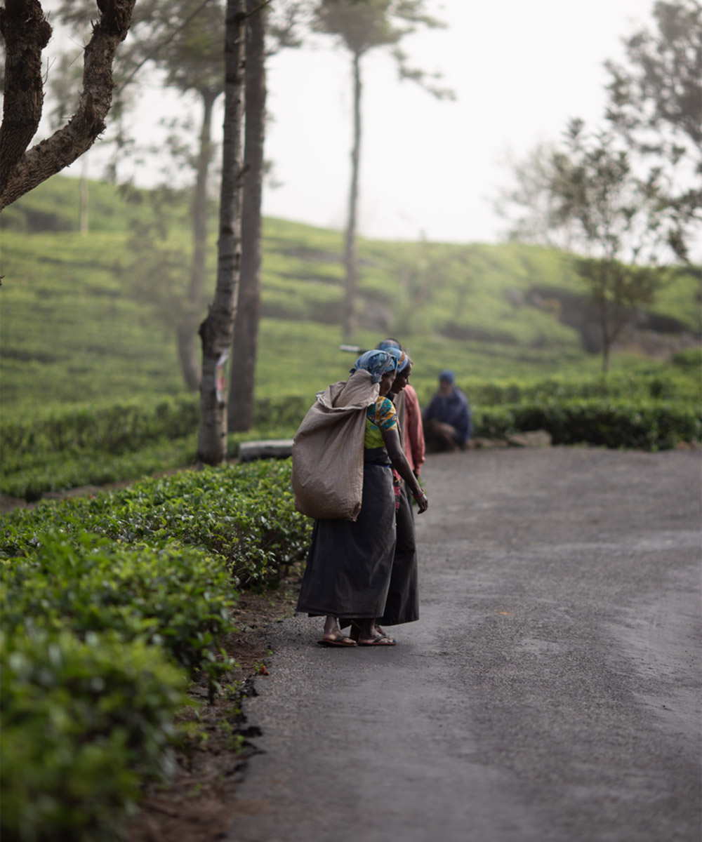 Exciting experience for travelers and explorers gallery image