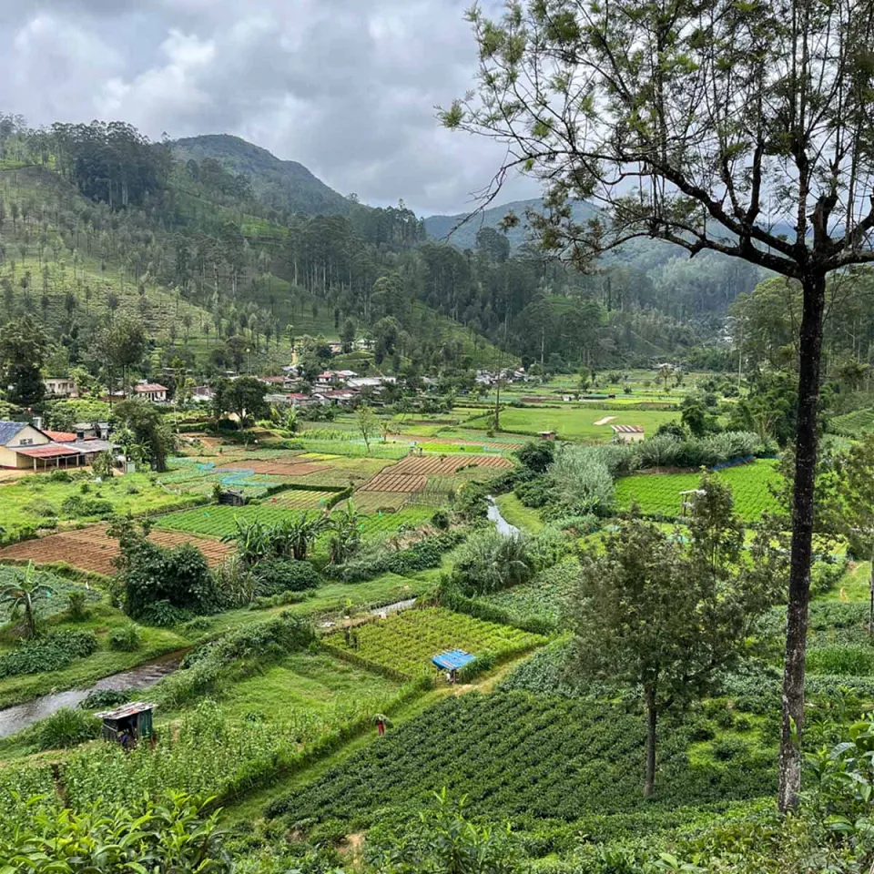 Pekoe Trail - Memorable travel experience photo — gallery photograph 3