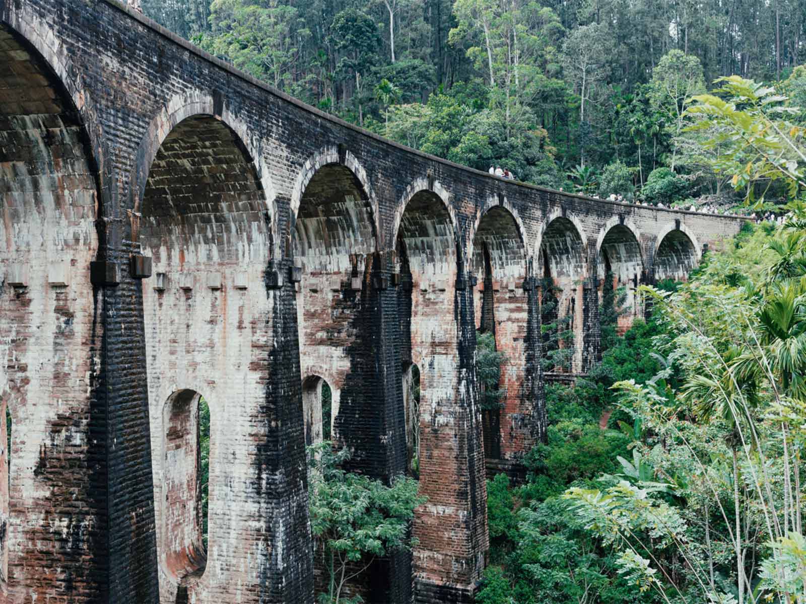 Exciting experience for travelers and explorers gallery image