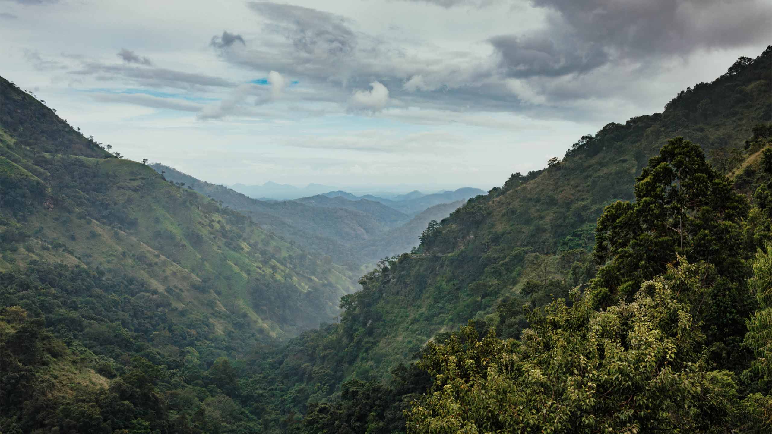 Unforgettable adventure showcasing local culture and breathtaking landscapes