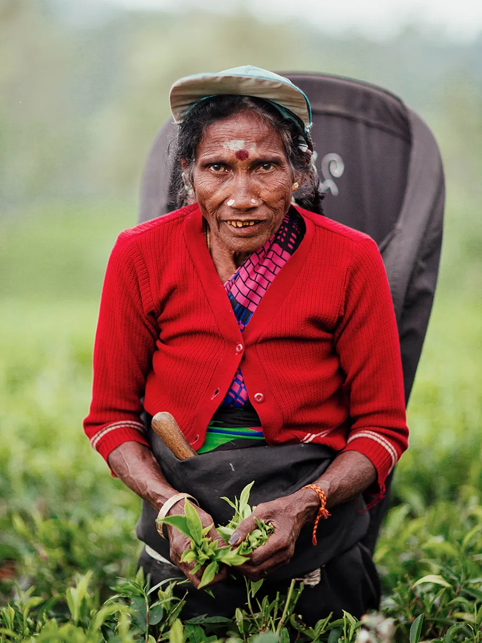 Ceylon Tea — gallery photograph