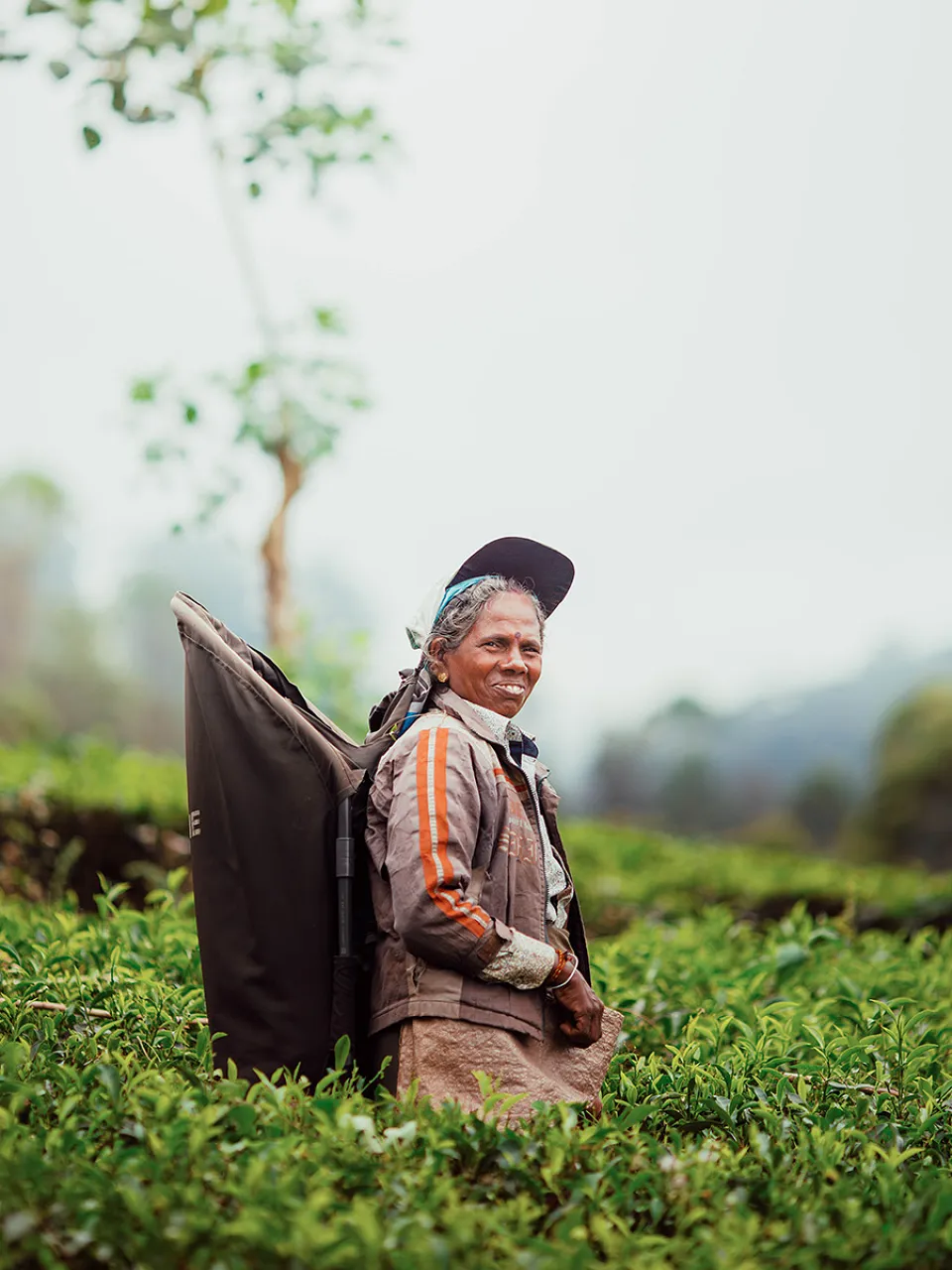 Why is The Pekoe Trail so special? — travel photograph 3