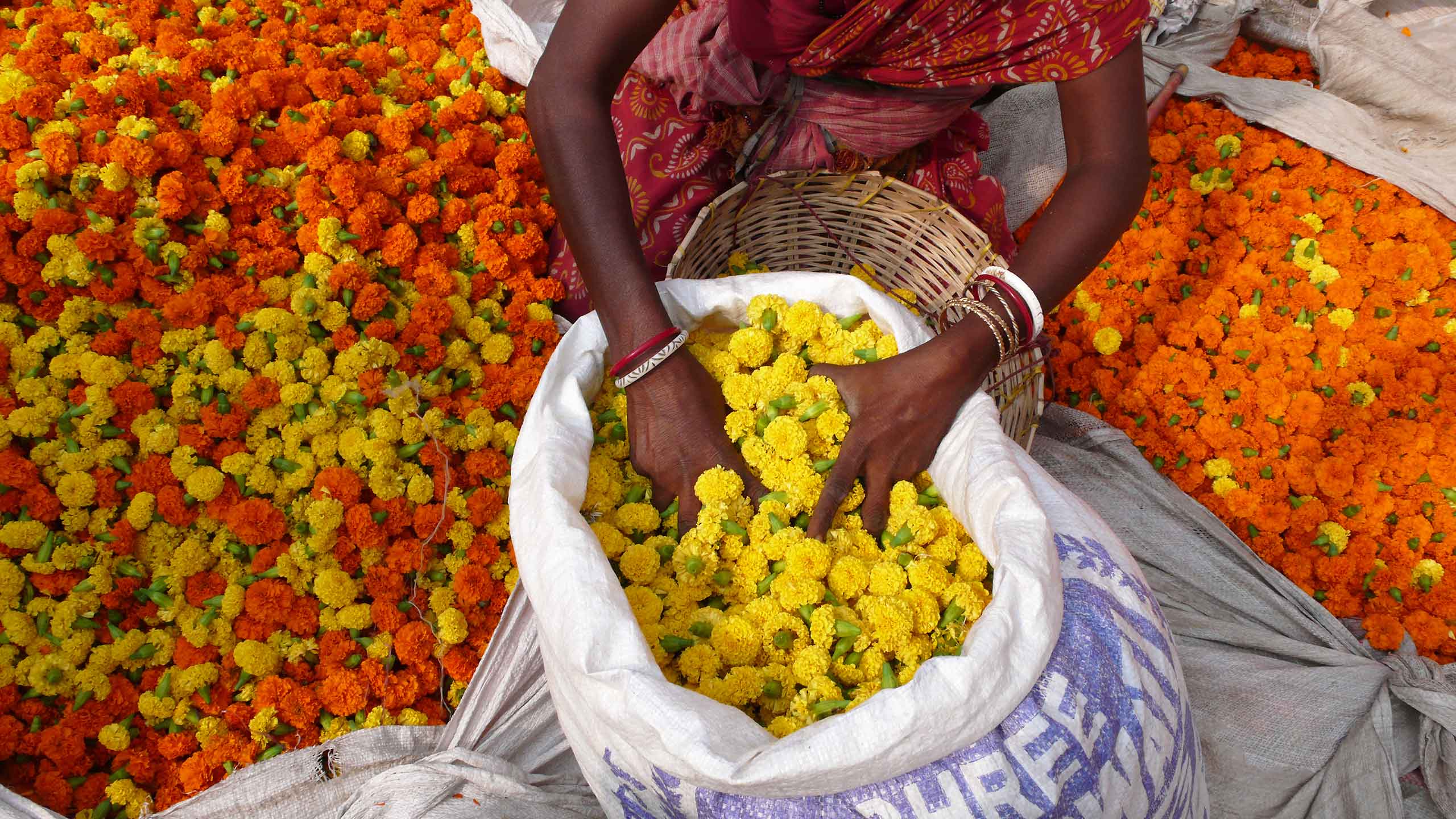 Five reasons you should visit Eastern India