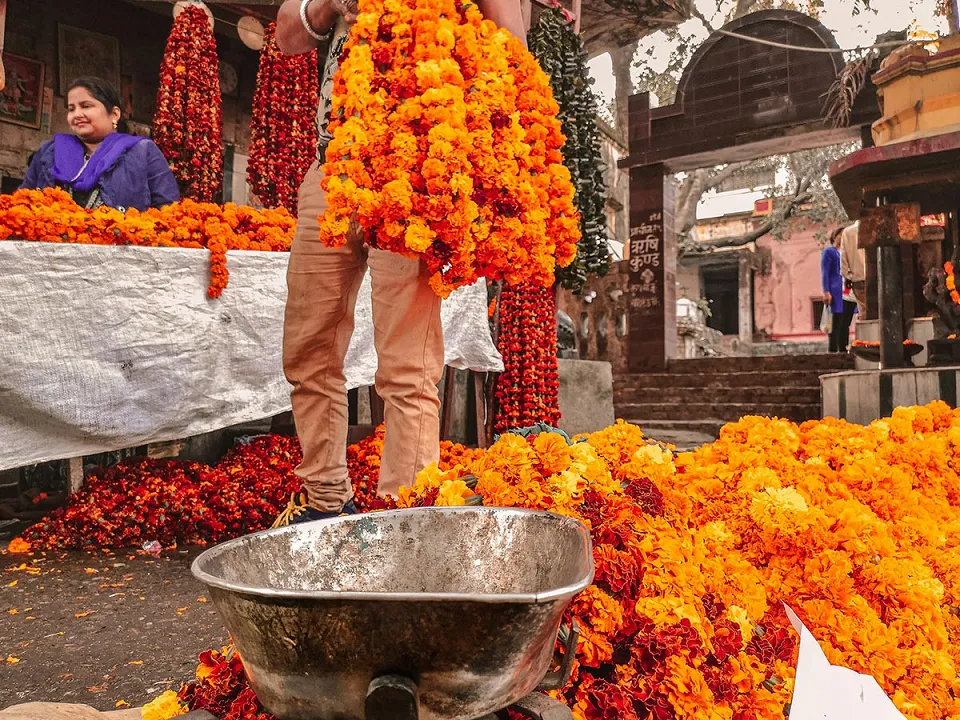 The ideal route around Rajasthan with teenagers — Atarin Michaeli Ttyuen 2X10 Unsplash