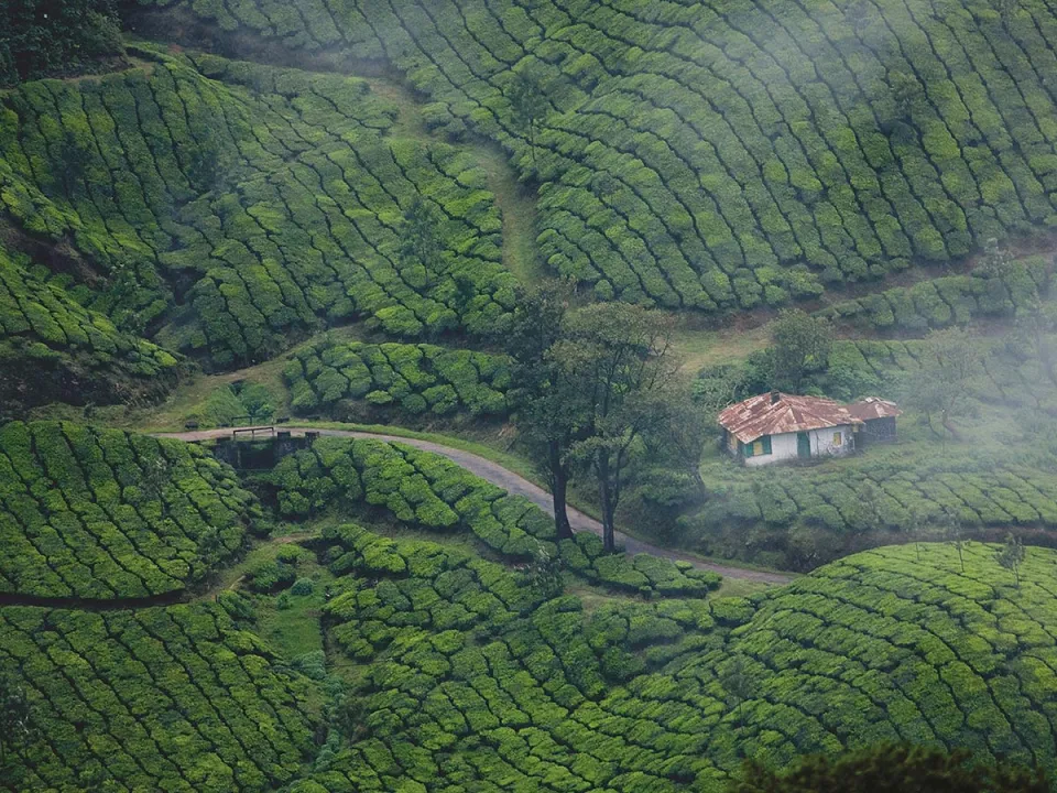 9. Make time for a brew — Red Dot Kerala00003