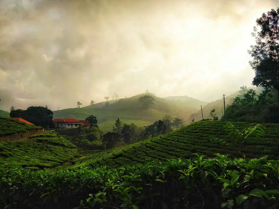 Thekkady — Red Dot Kerala00011