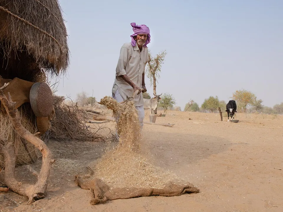 Dsc 4218 Khushi Mishra Photography — Spotlight on Indian heritage homestays: Kot Dunara