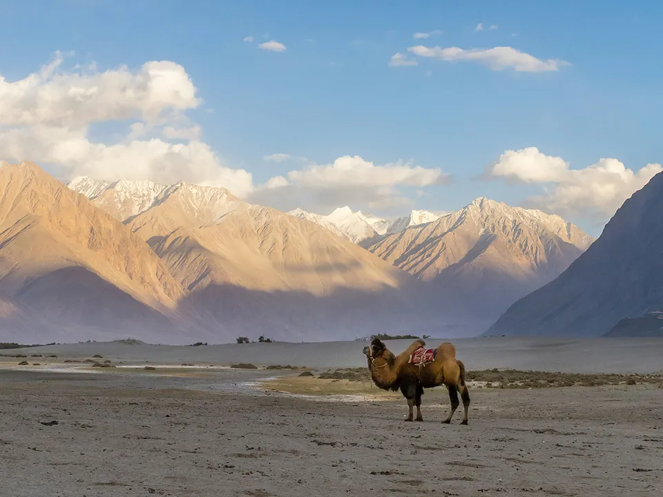 Ulley — Nubra Valley