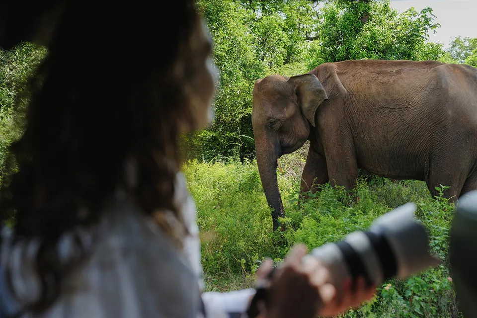 Curries and waterfalls on Sri Lanka for Families