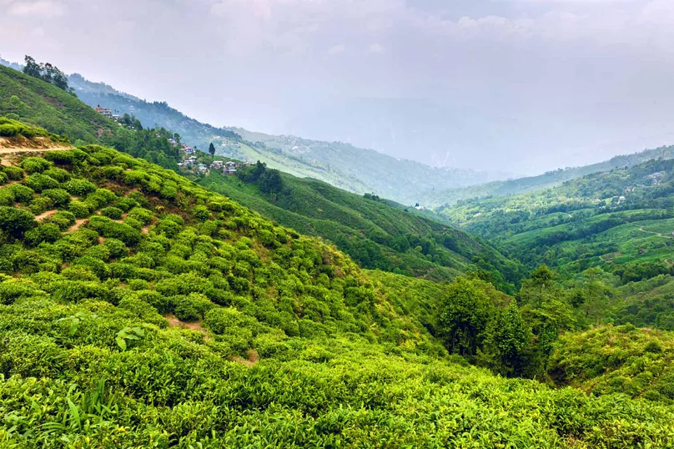 A day at leisure on Eastern India