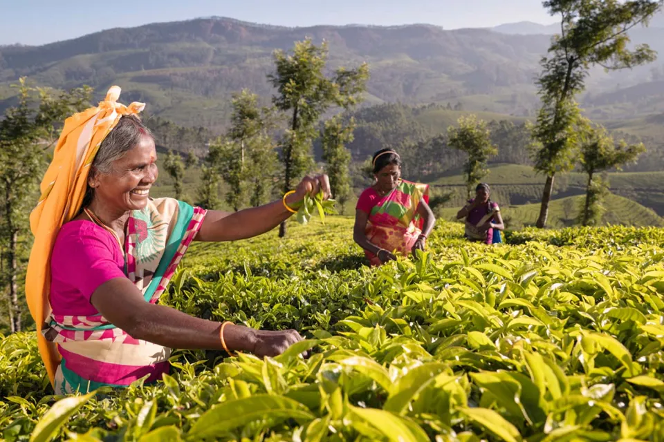 Into the hills on India in Depth