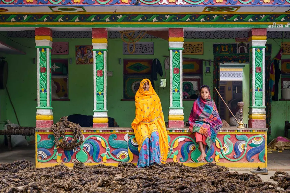 Castles and crafts on Rajasthan in Style