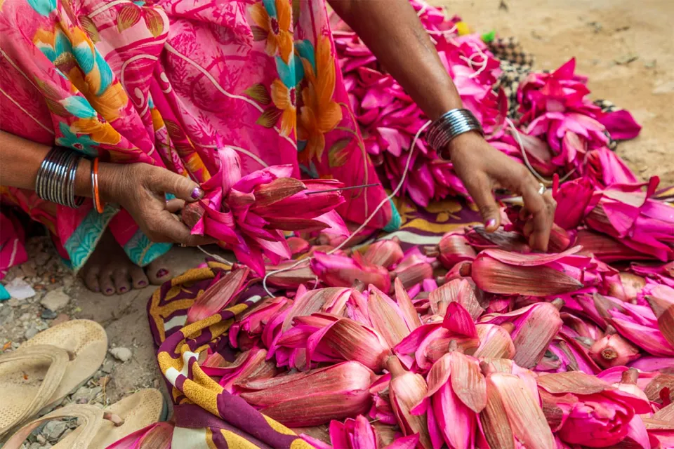 Homeward bound on Northern India with Varanasi