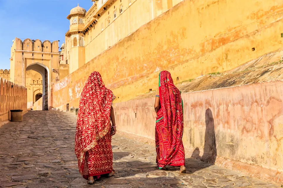 Gentle giants on Rajasthan with teenagers