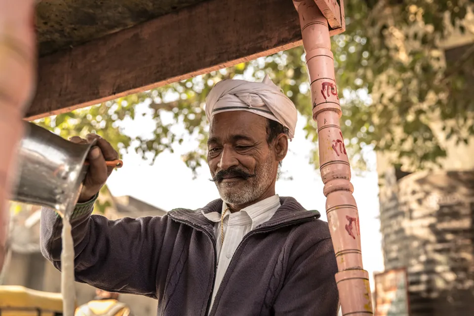 Palaces and stars on Rajasthan with teenagers