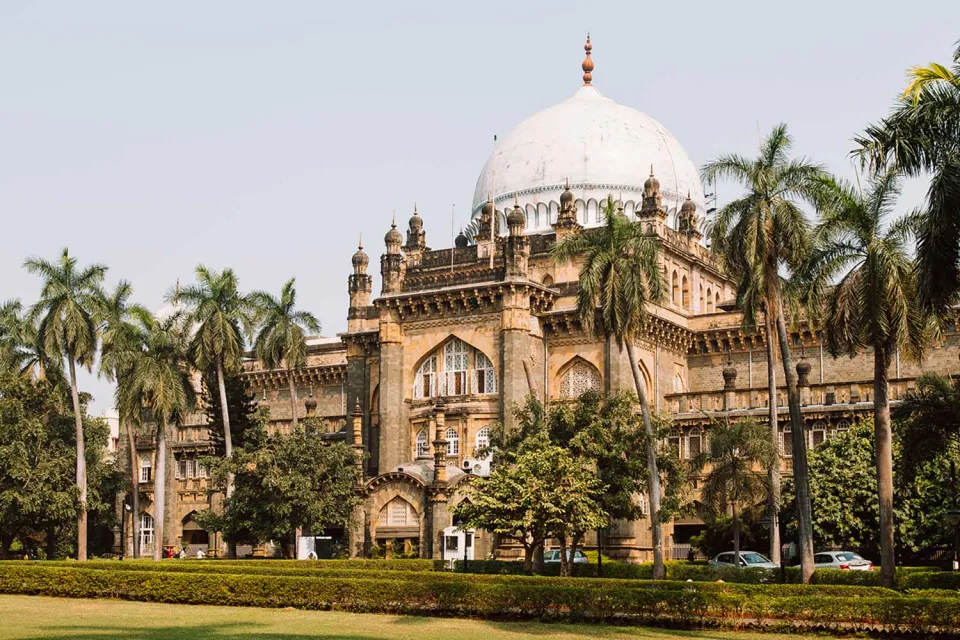Buzzing Mumbai on Wildlife of Central India