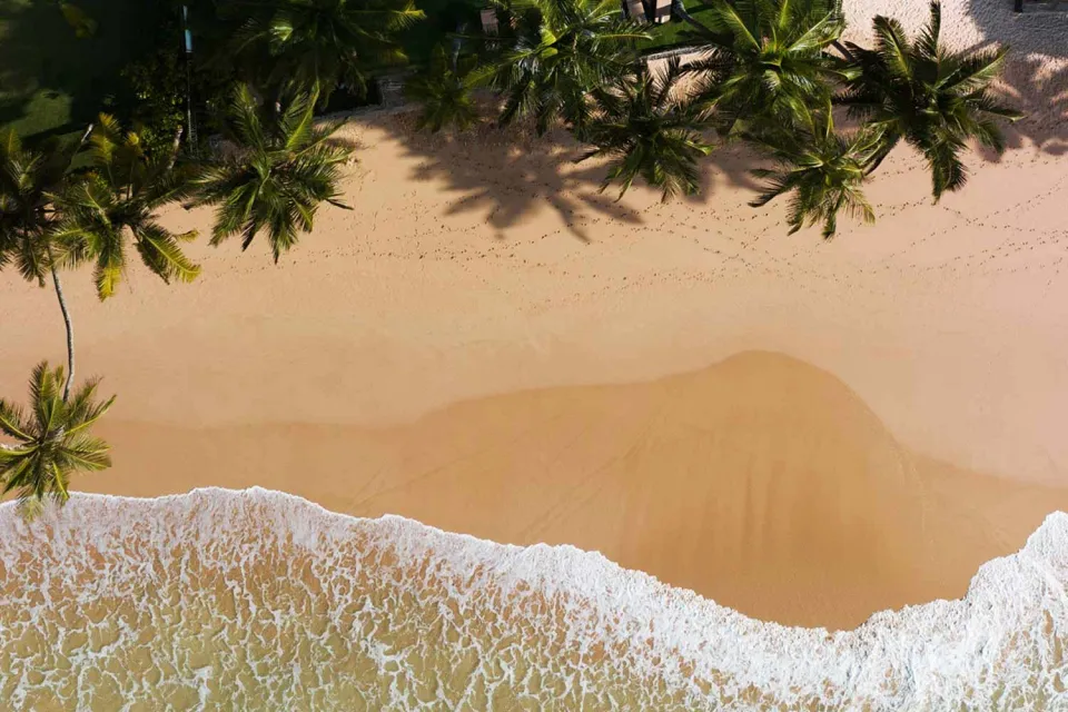 Heading home on Highlights of Sri Lanka