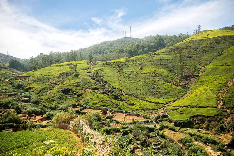 Exploring by road and rail on Sri Lanka for Teens (November to April)