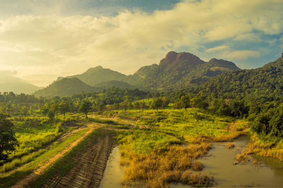 Island-hopping elephants on Sri Lanka for Teens (November to April)