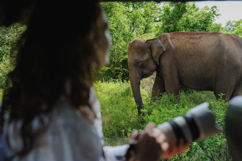 Giants of stone on Sri Lanka for Teens (November to April)