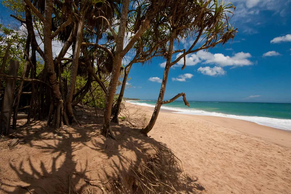 Down time on Wildlife of Sri Lanka