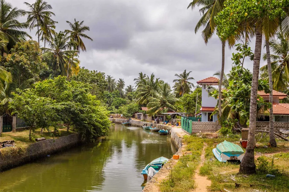 Final stop on Wildlife of Sri Lanka